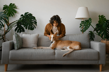 Woman petting a dog on a pet-proof furniture material.